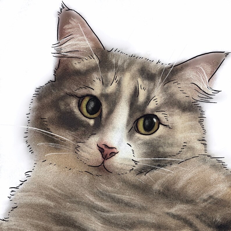 Puede incluir: Un retrato de cerca de un gato atigrado gris con ojos verdes. El gato est&aacute; mirando directamente al espectador con una expresi&oacute;n curiosa. El pelaje del gato es suave y esponjoso, y sus bigotes son largos y prominentes.