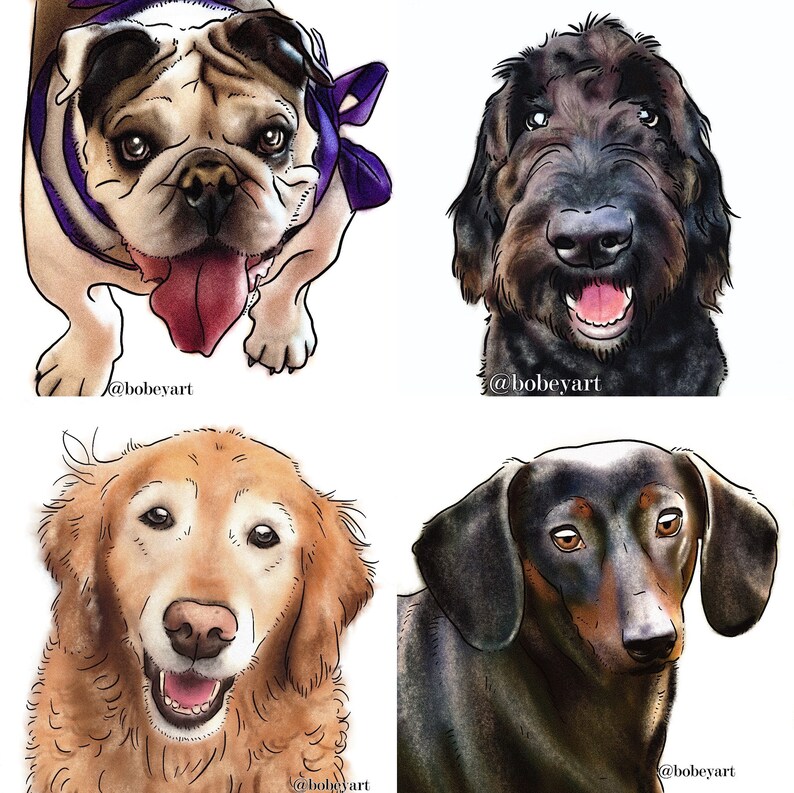 Custom Hand-drawn Pet Portrait | Charcoal and Ink (digital Download) - Etsy