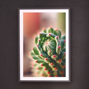 Cactus Winter Garden Wall Decor, Cacti Photography, Cactus Nature Wall Art, Succulent Prints, Cactus Printables, Pink Succulent, Cactus Gift