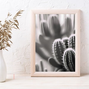 Kaktus Schatten Poster, Kaktus Fotografie, Kaktus Wintergarten Wanddekoration, Kaktus Natur Wandkunst, Sukkulenten Drucke, Kaktus Printables