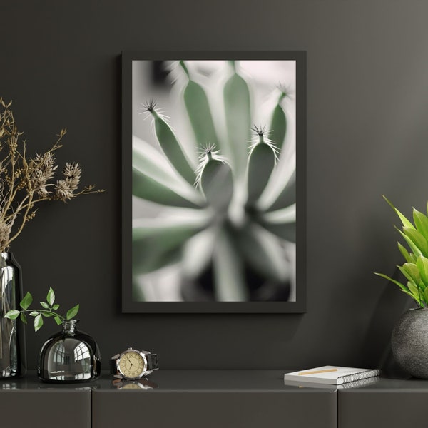 Cactus Shadow Photography, Cacti Winter Garden Wall Decor, Cactus Nature Wall Art, Succulent Prints, Cactus Printables, Cactus Poster