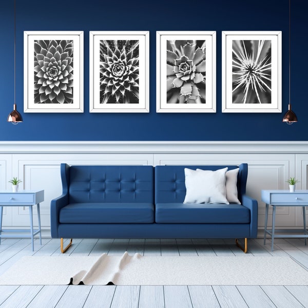 Black and White Succulent Prints Set of 4, Cactus Photography, Desert Print, Cacti Decor, Succulent Wall Art, Botanical Prints, Best Gifts