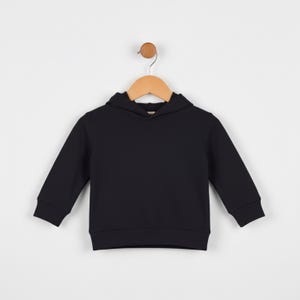 Canva Toddler Hoodie Mockup: Rabbit Skins 3326, POD Photo (Digital Download)