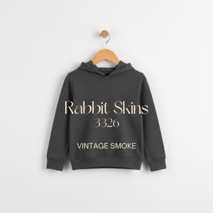 May include: A dark gray hoodie with a hood, hanging from a wooden hanger. The text "Rabbit Skins 3326 VINTAGE SMOKE" is printed on the front of the hoodie. The background is a plain white.