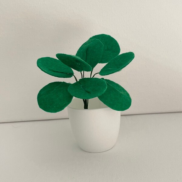 Rare Houseplants Etsy