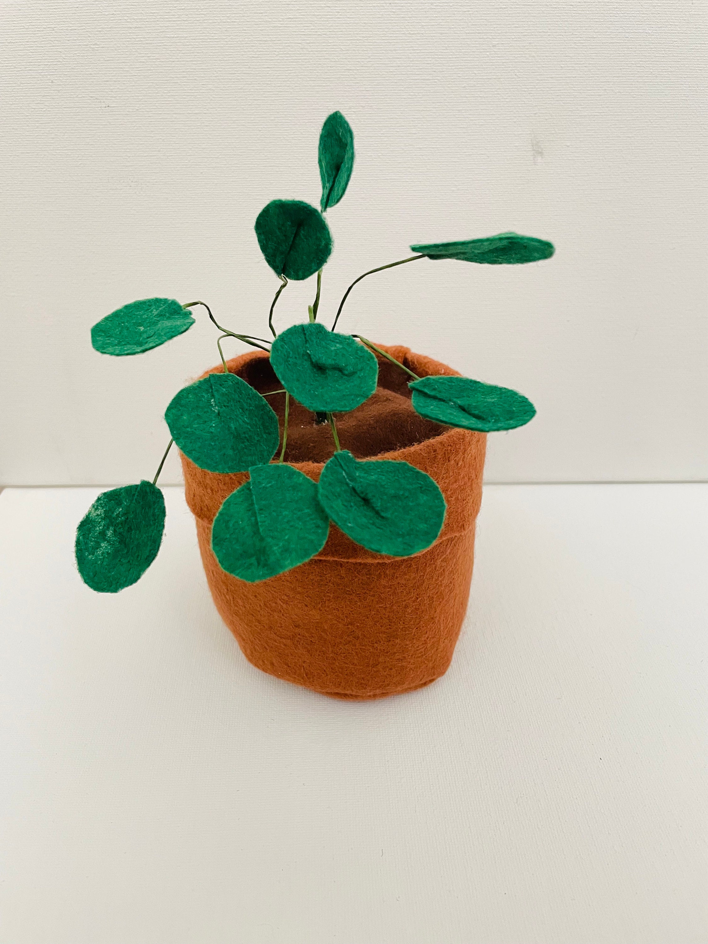 Pilea Peperomioides Inspired Fake Felt Potted Plant Textile Etsy