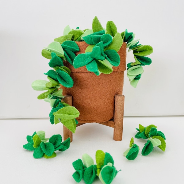 Trailing Plant Etsy