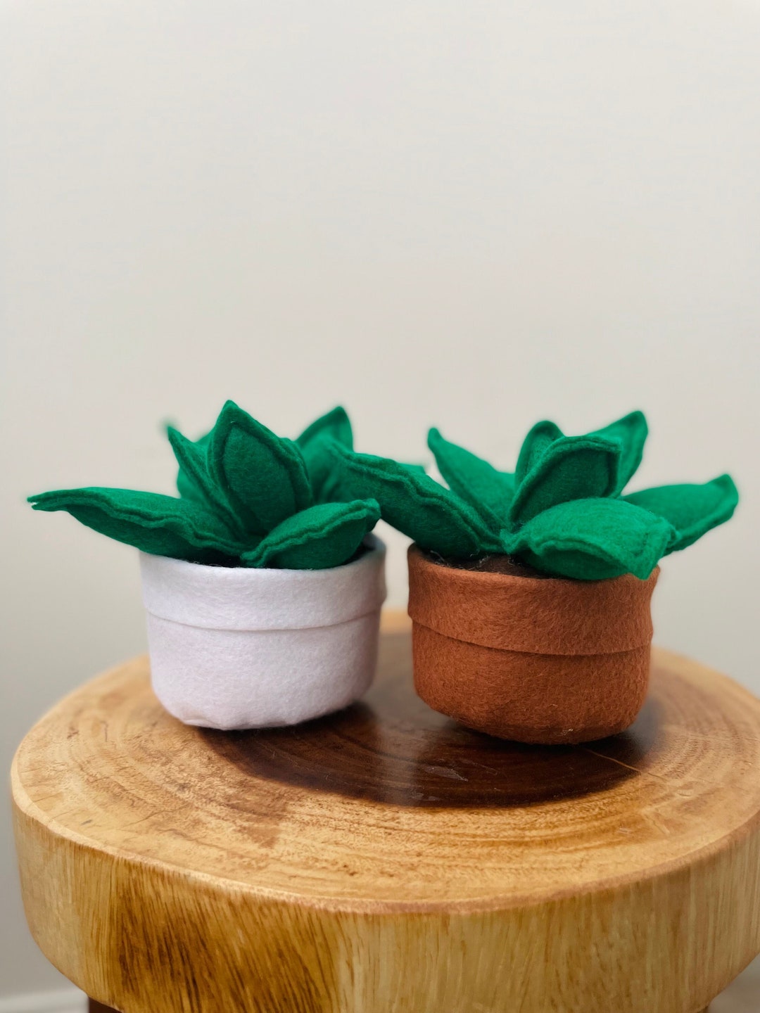 Custom Fake Succulents, Fake Felt Plant, Botanical Inspired, Textile