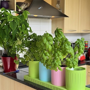 Peut inclure: Un ensemble de quatre pots de fleurs cylindriques vert citron, bleu clair, rose et vert vif, disposés sur un plateau rectangulaire assorti. Les pots contiennent des herbes vertes, dont du basilic et du persil, avec des surfaces texturées.