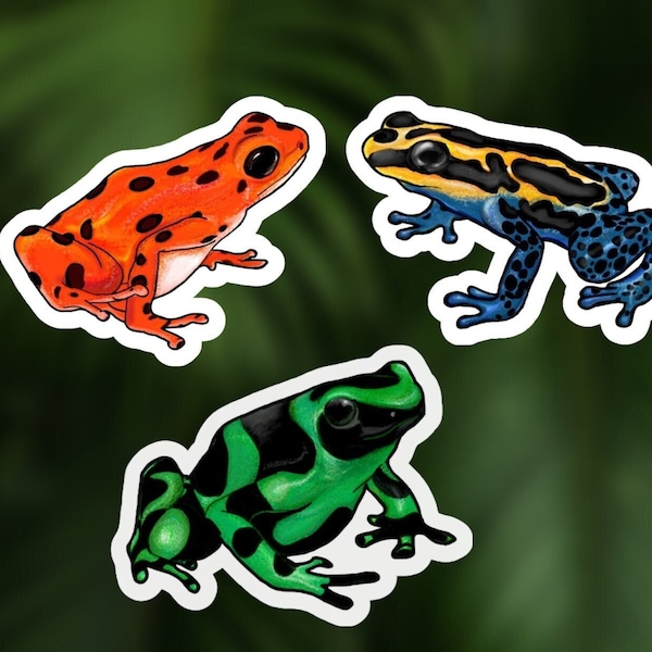 Poison Dart Frog Stickers | Water-Resistant, Vinyl Material, Frog Stickers for Waterbottles, Notebook, Laptops | Great of All Frog Lovers!