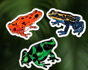 Poison Dart Frog Stickers | Water-Resistant, Vinyl Material, Frog Stickers for Waterbottles, Notebook, Laptops | Great of All Frog Lovers!