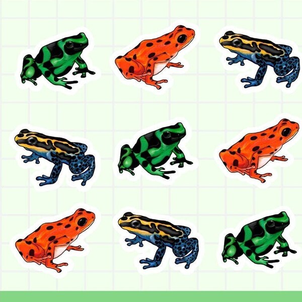 Poison Dart Frog Sticker Sheet | Ribbit-ing Sticiker for Frog Lovers! | Kiss-Cut, Vinyl Sticker Stickers | Best for Journals, Notebooks, etc