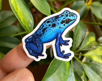 Blue Poison Dart Frog Vinyl Sticker | Waterproof Frog Lover Gift