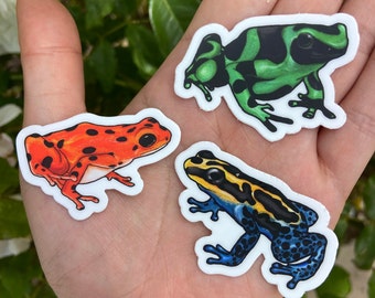 May include: Three frog stickers on a hand. The frogs are green with black stripes, orange with black spots, and blue with yellow and black stripes.