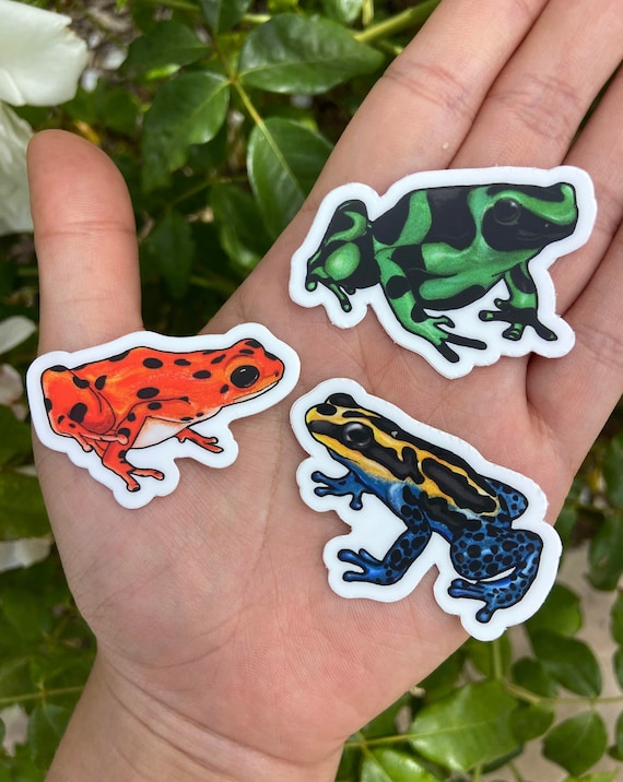 Poison Dart Frog Sticker | Water-Resistant Vinyl Decal