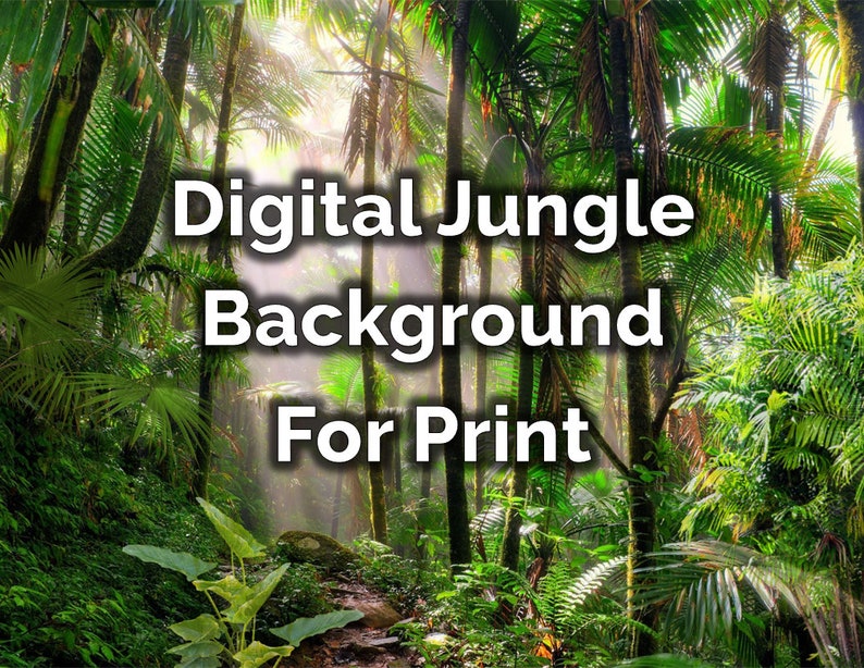 Printable Terrarium Enclosure Backdrop/background Etsy