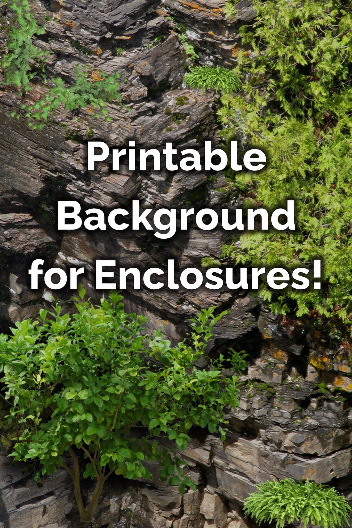 Printable Terrarium Enclosure Backdrop/background arboreal Etsy