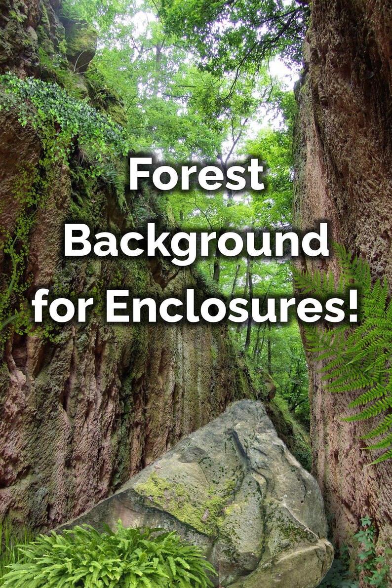 Printable Terrarium Enclosure Backdrop/background arboreal Etsy