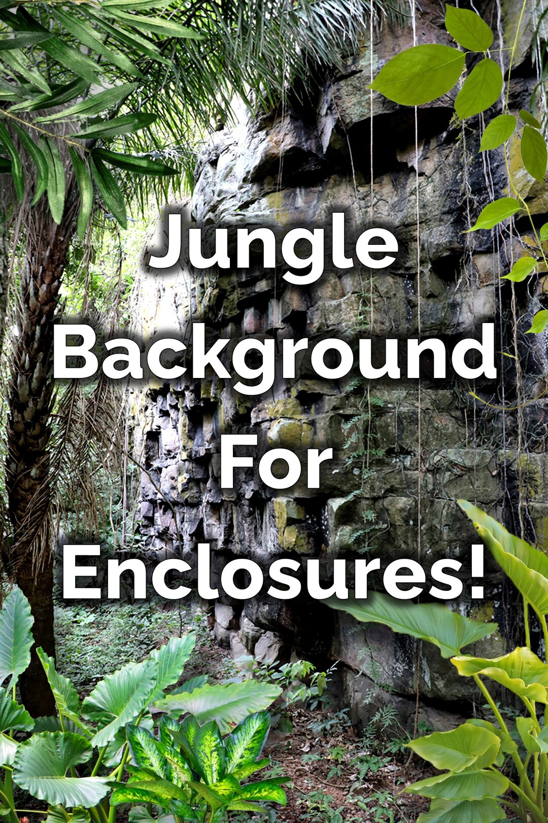 Printable Terrarium Enclosure Backdrop/background arboreal - Etsy