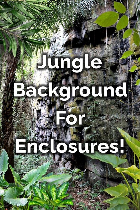 Printable Terrarium Enclosure Backdrop/background arboreal Etsy