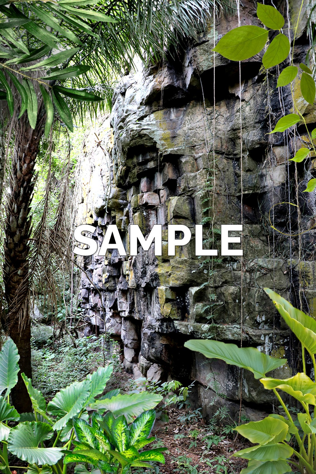 Printable Terrarium Enclosure Backdrop/background arboreal - Etsy