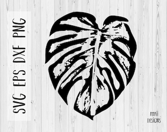 Monstera leaf SVG, plant digital vector download files for cutting, Silhouette, instant download, house plant cut file, svg eps dxf png
