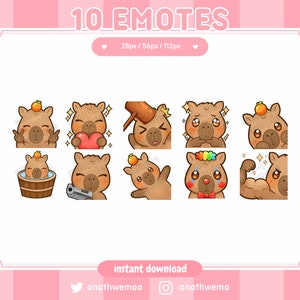 Capybara Twitch Emotes Bundle (10x) | Discord Emotes cute kawaii mega pack gun mandarin buff muscular heart meme onsen | custom streamer set