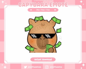 Capybara Twitch Emote Cute Money Rain | Discord Emotes funny meme donation plushie kawaii rodent uwu animal digital | custom streamer assets