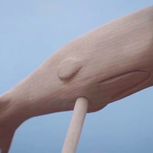 The Norwich Sperm Whale
