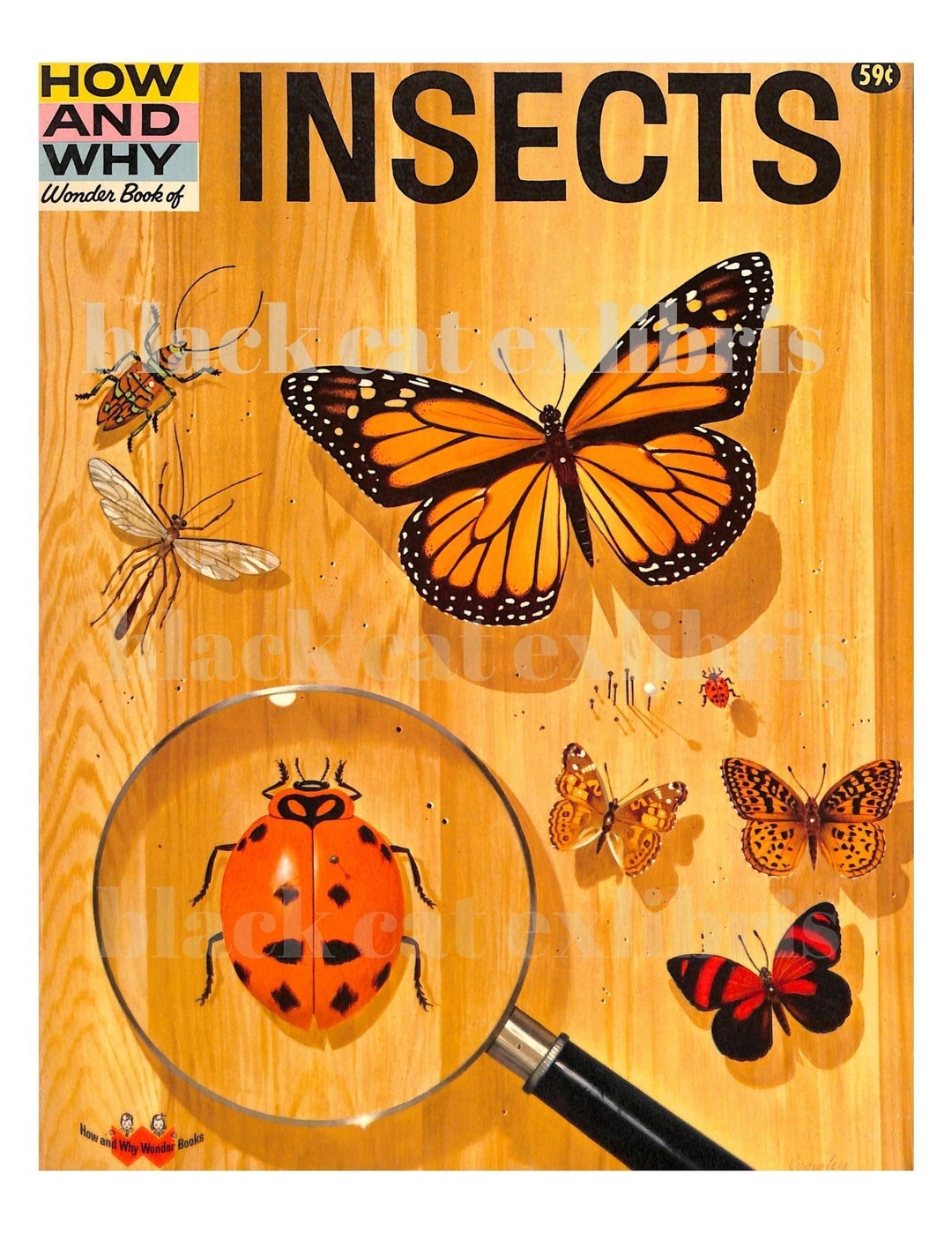 Magazine Insect Photoss Buy Vintage Children's 1960s Magazine Cover, Midcentury Science Art ...