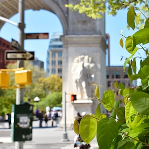 Parc Washington Square dans le Lower Manhattan | Gros plan avec effet bokeh | Photographie de la ville de New York