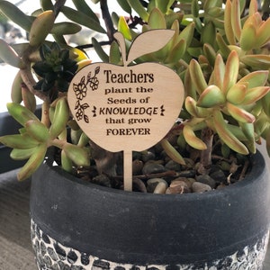 May include: Wooden apple-shaped sign with the text "Teachers plant the Seeds of KNOWLEDGE that grow FOREVER". The sign is attached to a wooden stick and is placed in a black and white mosaic pot with a succulent plant.