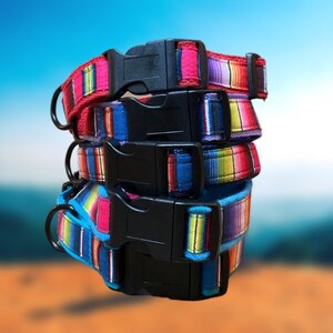 May include: A stack of four colorful dog collars with black buckles. The collars are striped with red, blue, purple, and yellow.