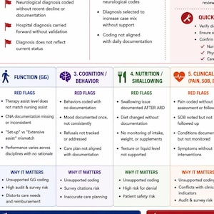 MDS Audit Trigger Guide | SNF Documentation Red Flags | Nursing CNA Therapy Audit Checklist | Coding & Reimbursement Risk Tool