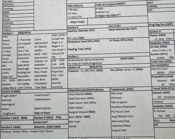 MDS Worksheet (PDPM-focused)