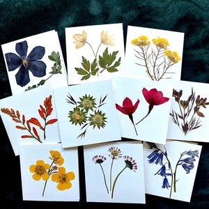Notecard Set - Real Flowers - 10 pack of Mini Cards with envelopes