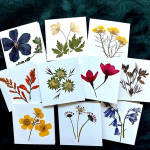 Notecard Set - Real Flowers - 10 pack of Mini Cards with envelopes