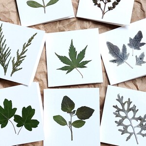 Notecard Set  - Pack of 10 Little Cards with envelopes - Real Leaf/Leaves