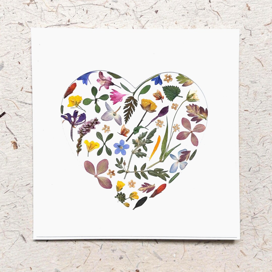 Handmade Pressed Flower Card: Real Flower Heart - Blank Inside - Etsy
