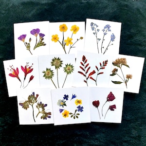Puede incluir: Una colección de diez tarjetas cuadradas blancas, cada una con un arreglo diferente de flores prensadas. Los diseños incluyen especímenes botánicos morados, amarillos, azules, rosas, verdes, naranjas y rojos, con una corona floral circular.