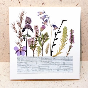Carta fiori pressati - Tema giardino - Fiori selvatici - Scelta di 4