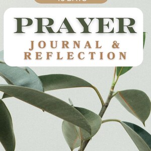 PRAYER JOURNAL  and Reflection 40 days: Christian prayer book and log, women&#39;s faith journey