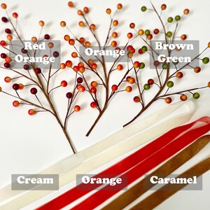 May include: Three sprigs of berry branches with red, orange, and brown berries.  Below the branches are four strips of velvet ribbon in cream, orange, red, and brown.