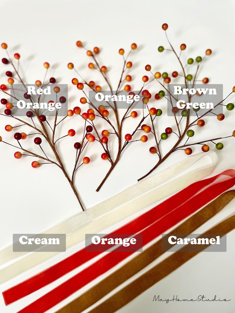 May include: Three sprigs of berry branches with red, orange, and brown berries.  Below the branches are four strips of velvet ribbon in cream, orange, red, and brown.