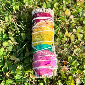 Bright Colorful Rainbow Chakra Sage Bundle