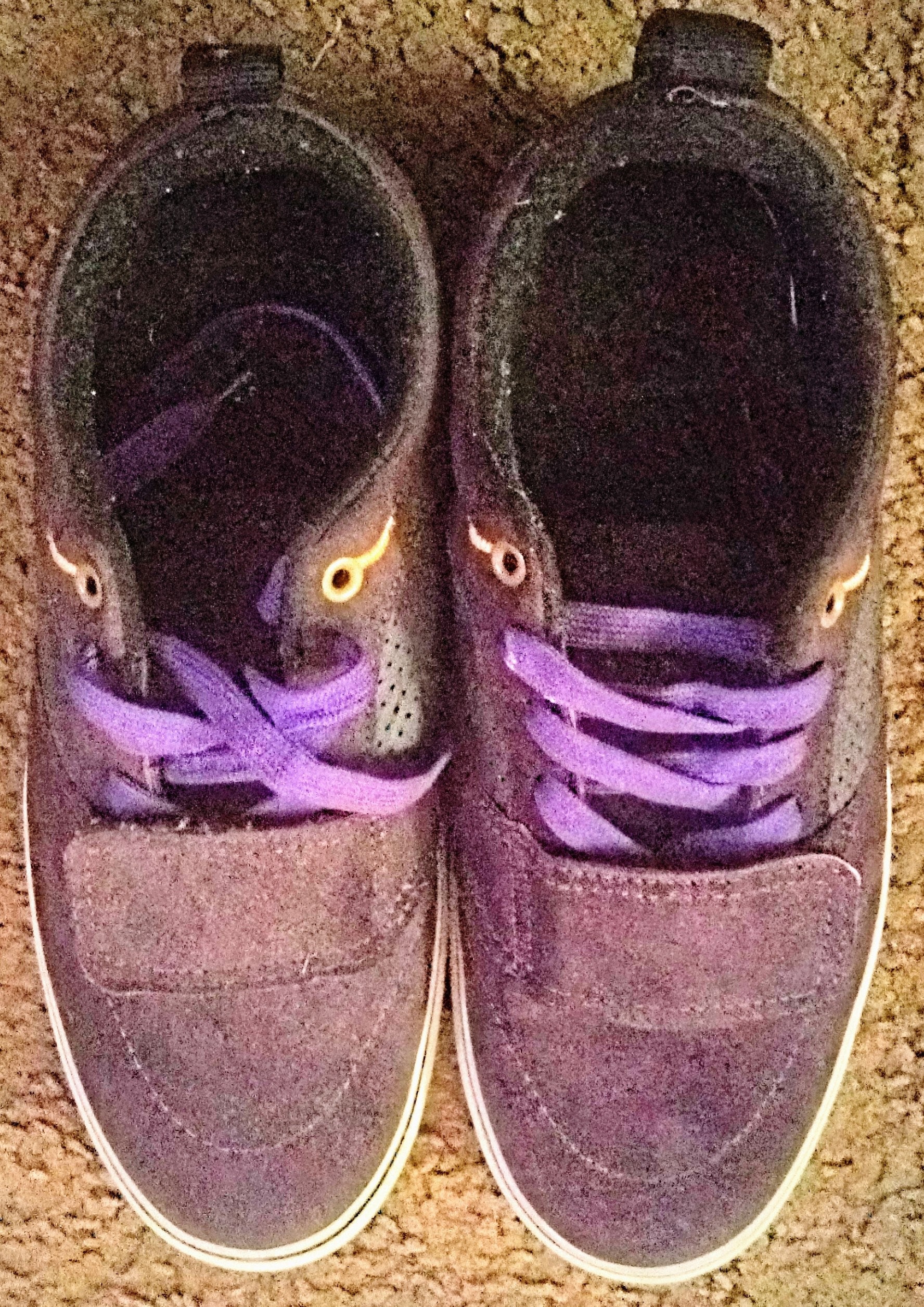 Vans dustin dollin clearance shoes