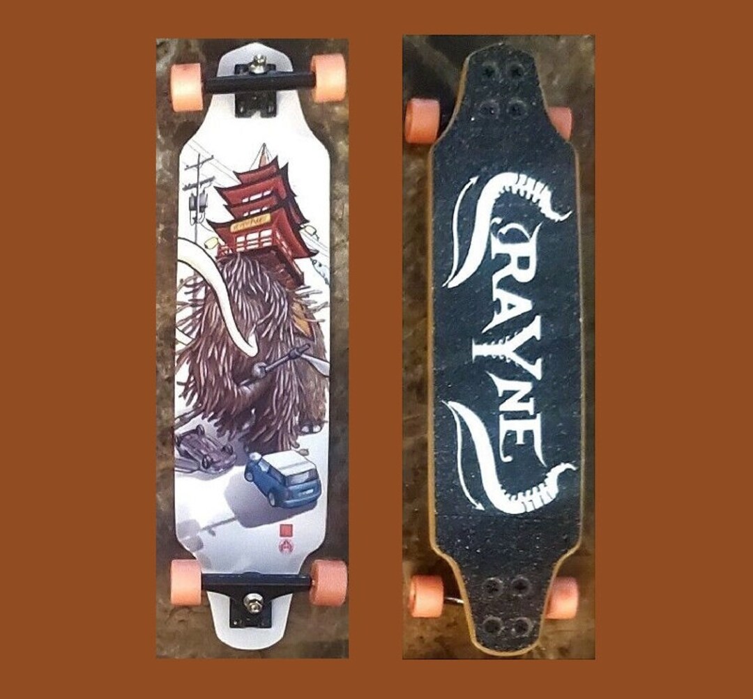 Vintage Rayne Tech Deck Cruisercarving Longboard Japanesedojo