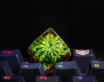 Terrarium Artisan Keycap, Artisan Keycap, Plant keycap, Green Leaf Keycap, Artisan Keycap for Mechanical Keyboard Cherry Mx, Gift For Dad
