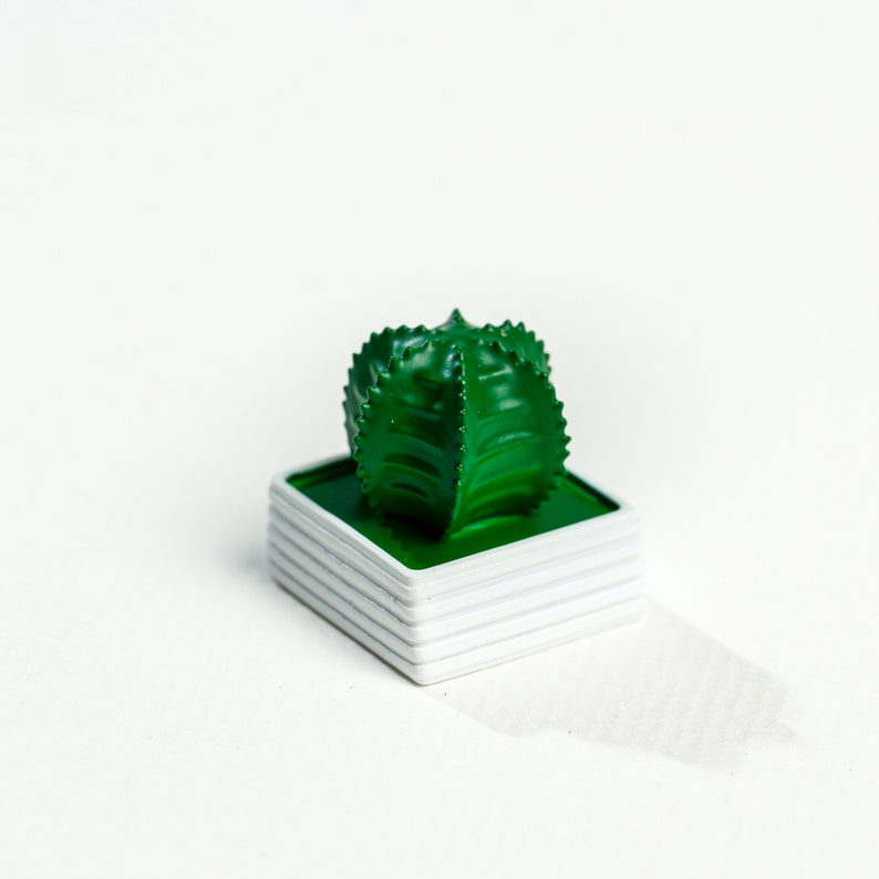 May include: A small green cactus plant in a white square planter. The cactus has a unique shape with many points.