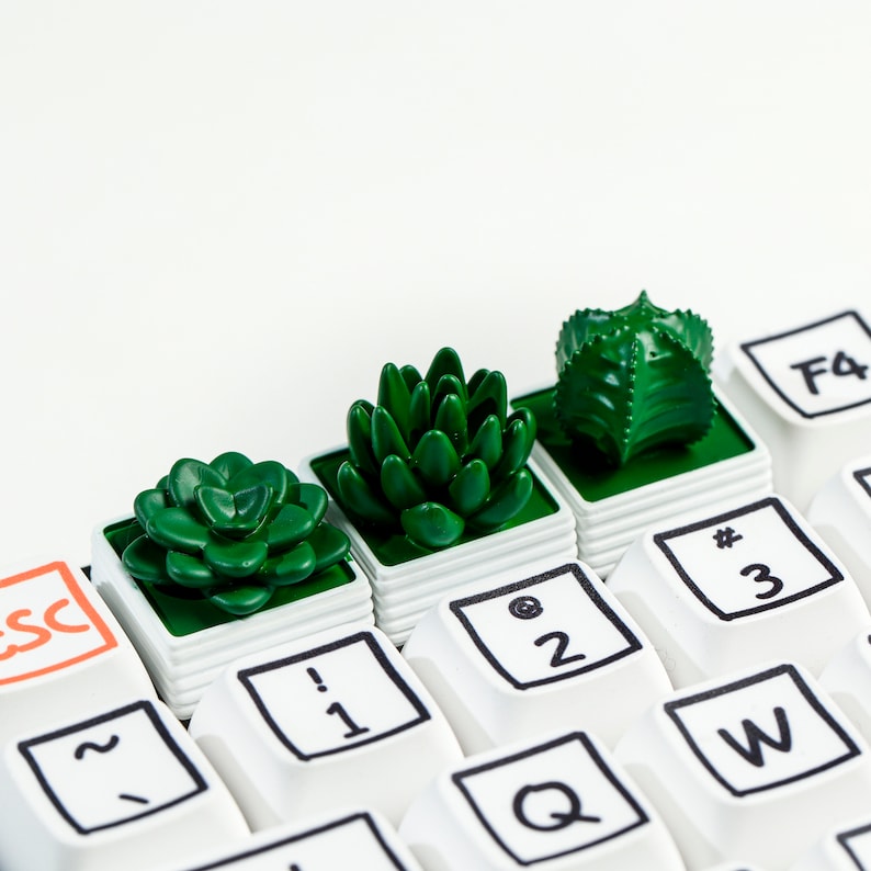May include: A white keyboard with green succulent plants in small pots placed on the keys. The keys have black lettering and symbols, including the numbers 1, 2, and 3, the letters Q, W, and the symbols ~, !, @, #, and $.